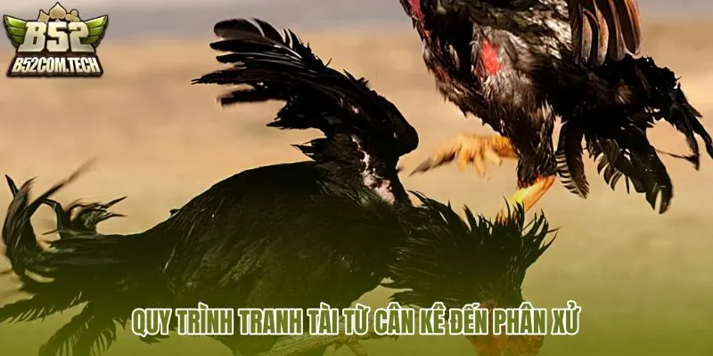 quy-trinh-tranh-tai-tu-can-ke-den-phan-xu
